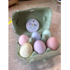 Confezione di uova a gesso